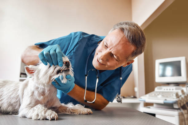 Best After-Hours Emergency Dentist in Opelousas, LA