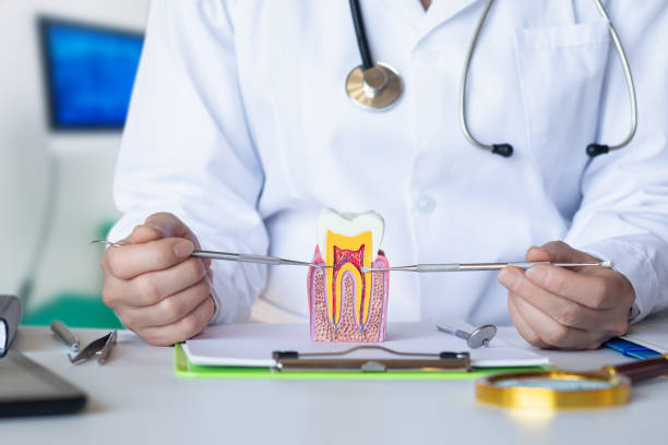 Best Emergency Treatment for Toothache in Opelousas, LA